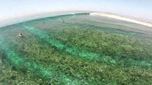 Leia mais sobre o artigo Videos feitos por drones